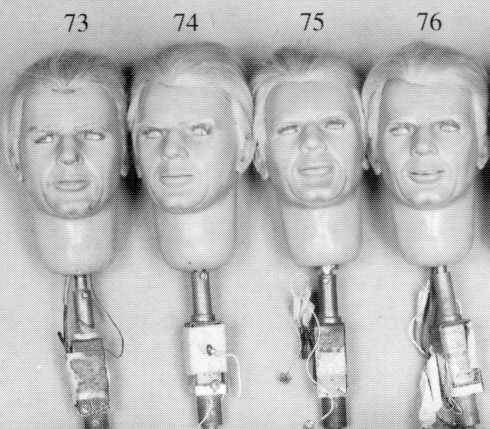 Mac's heads