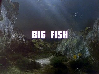 Big Fish