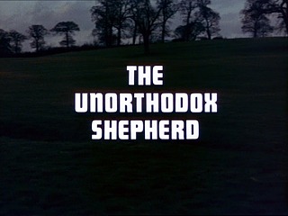 The Unorthodox Shepherd