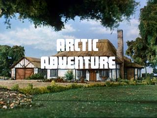 Arctic Adventure