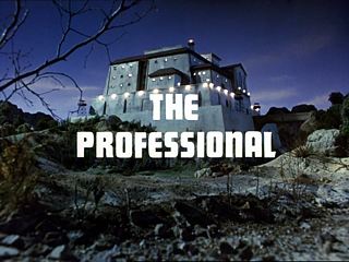 The Professional