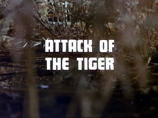 Attack Of The Tiger